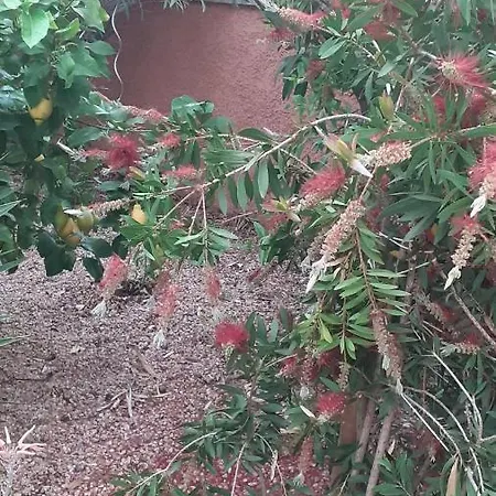 Rez De Avec Jardin Et Entree Prive Вилла Агд